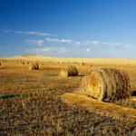 Bottineau-North-Dakota-Relocation-Guide
